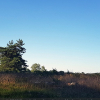 2018-06-29 18.48.29_klein